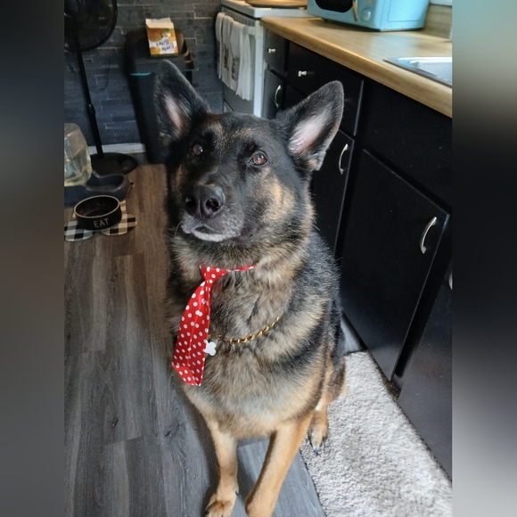 Unlisted Items for LIVE shows - Picture 10 of 11